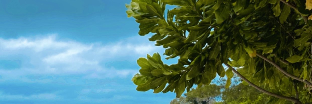 NVitriyani's profile banner image