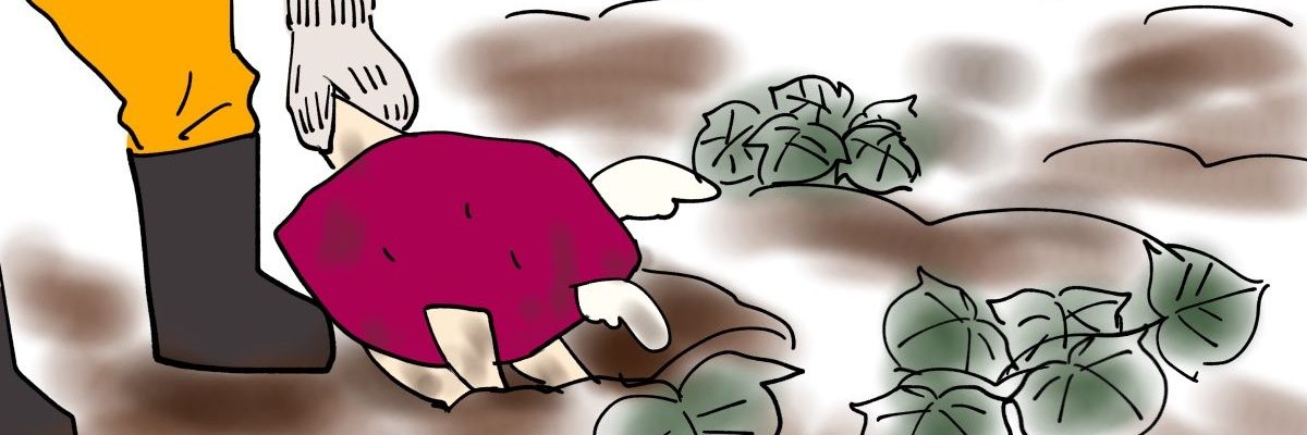 satumapoteto's profile banner image