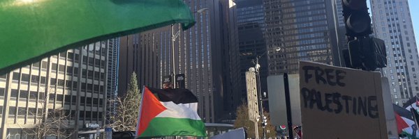 palidox Profile Banner