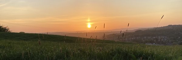 redfabs Profile Banner