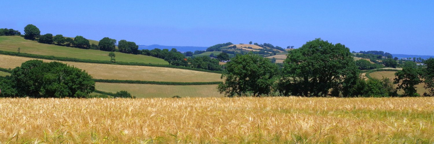 molevalley's profile banner image