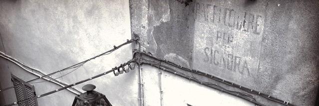 Irene Roncoroni banner