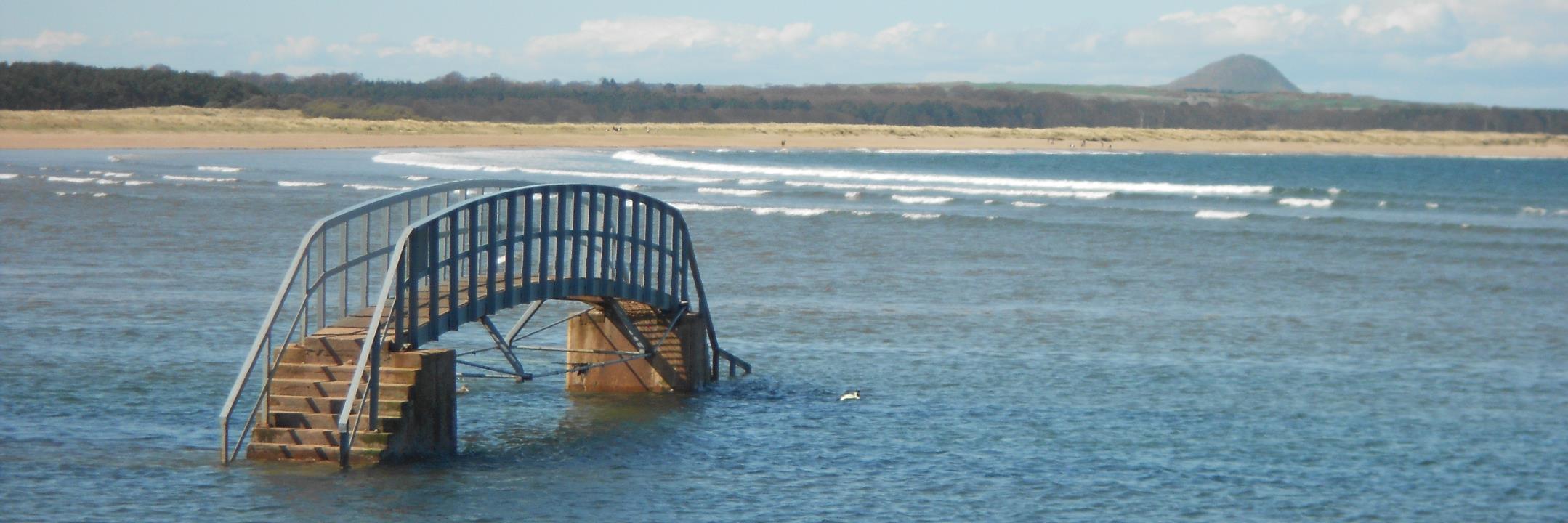 Mike Nicholson banner