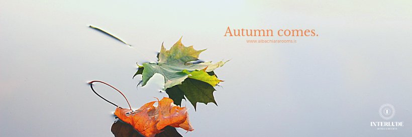 AlbachiaraBB's profile banner image