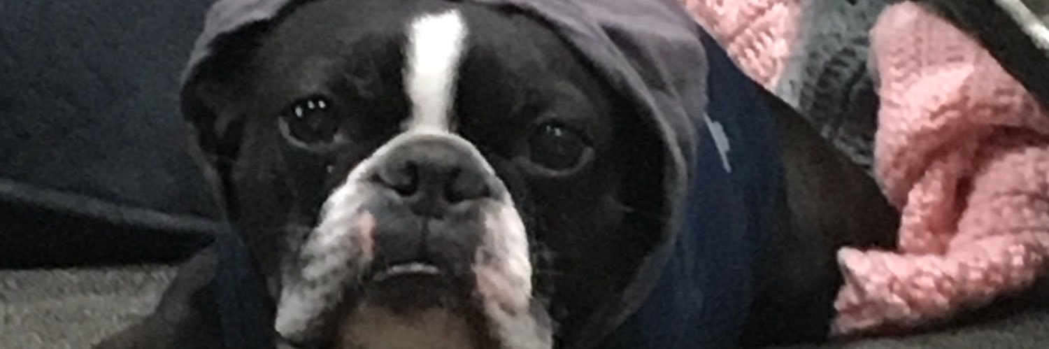 wboone75's profile banner image