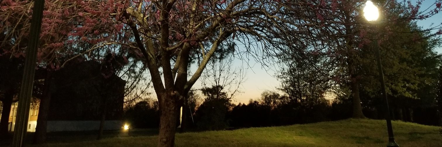 NativeWitch's profile banner image