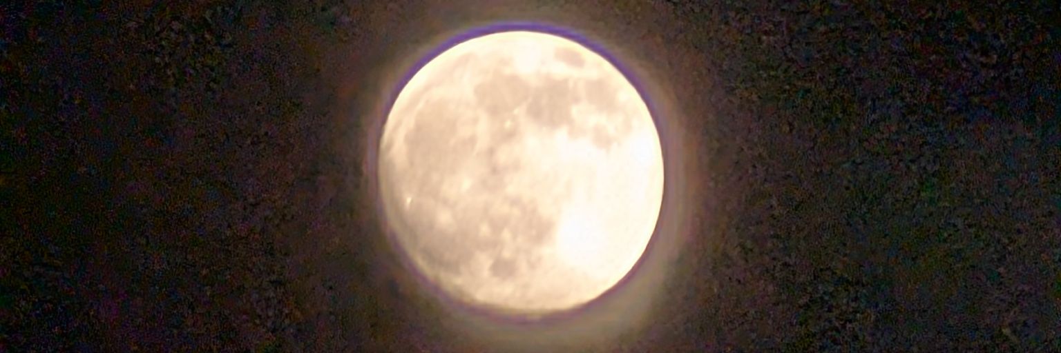 patodotado's profile banner image