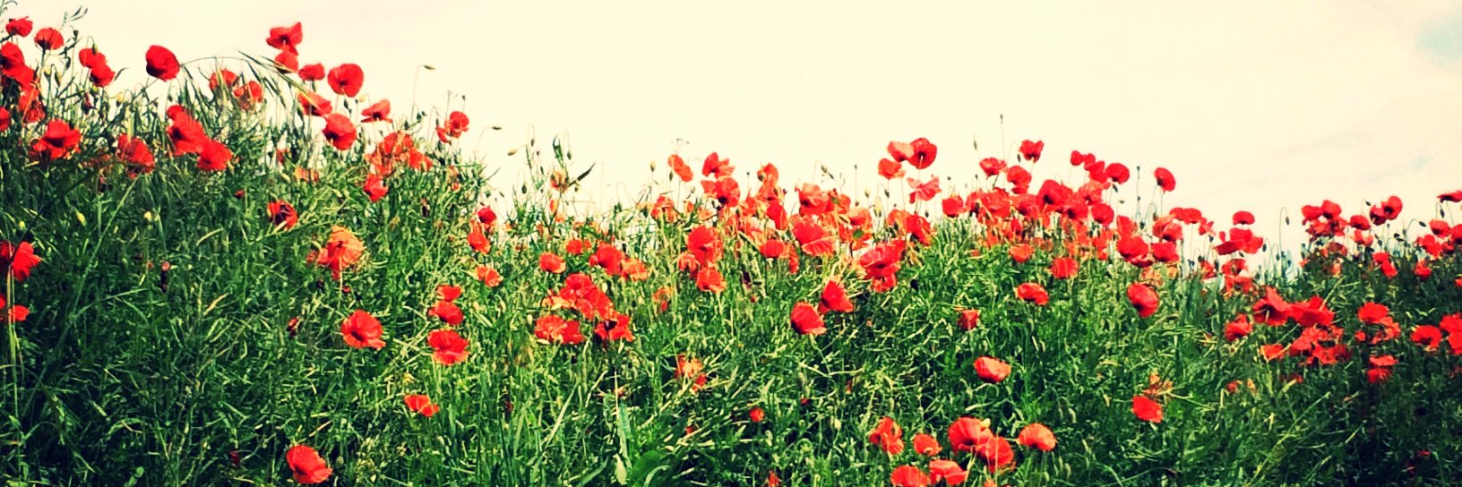 Fabmarie56's profile banner image