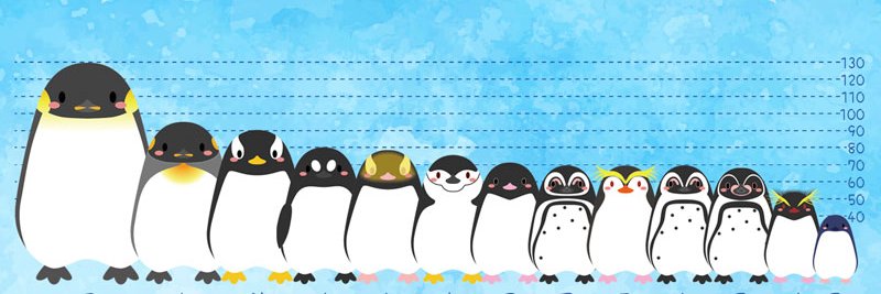 SILKS/チヒロ＠DF63(日)D-52/ペンギンアートリウム展示中 banner