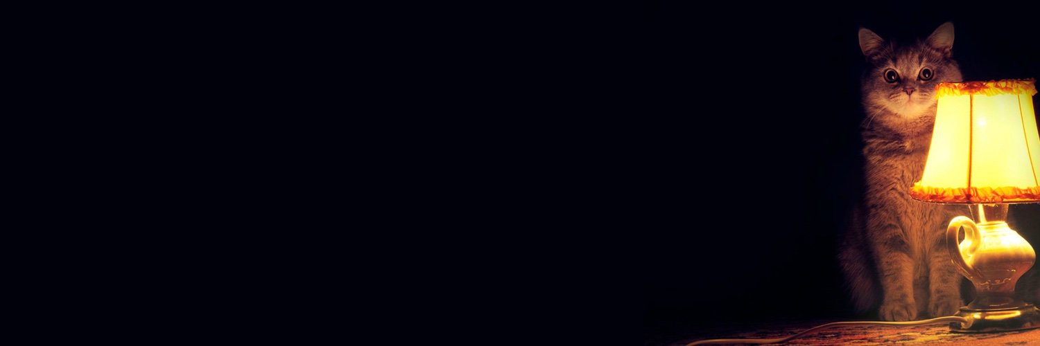 begovatovd's profile banner image