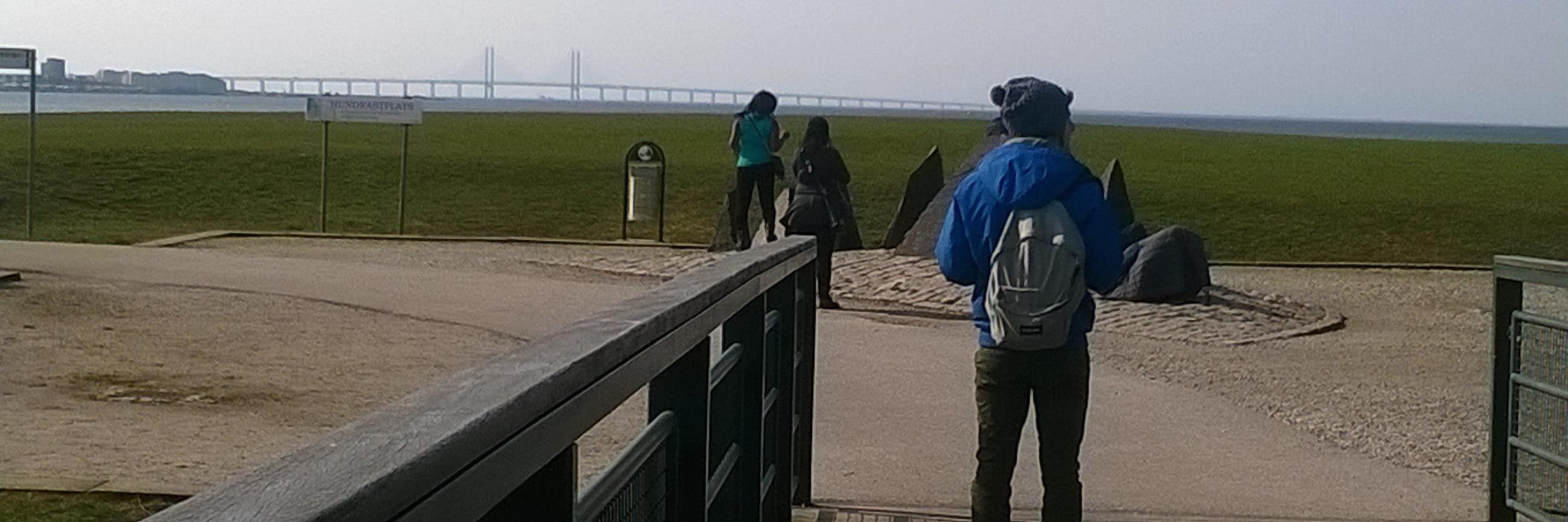 Sergio Librizzi banner