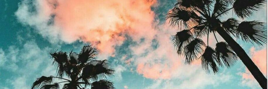 Tania Alcántara banner
