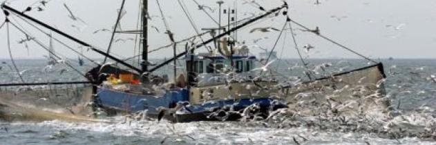 Diederik Visser banner