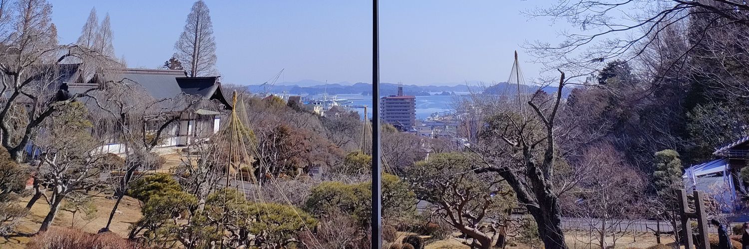 もんさん🍄 banner