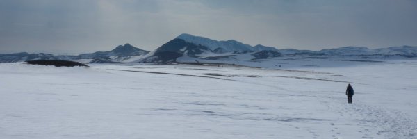 rvkgrapevine Profile Banner