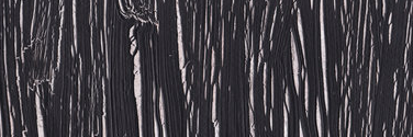 LTucci's profile banner image