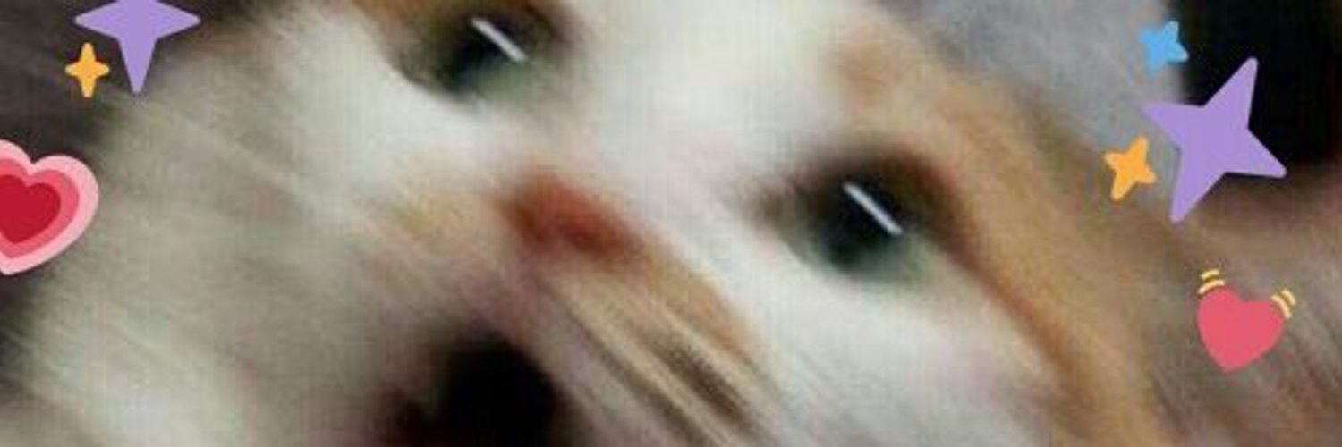 rakaagus_'s profile banner image