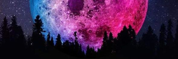 rdcozar's profile banner image