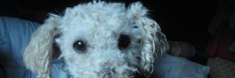 LOREDAYS1's profile banner image