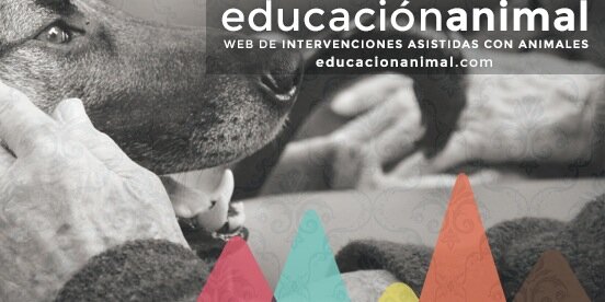 EducAnimal's profile banner image