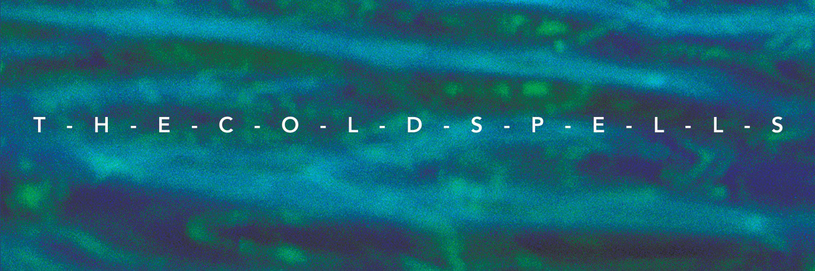 The Cold Spells banner