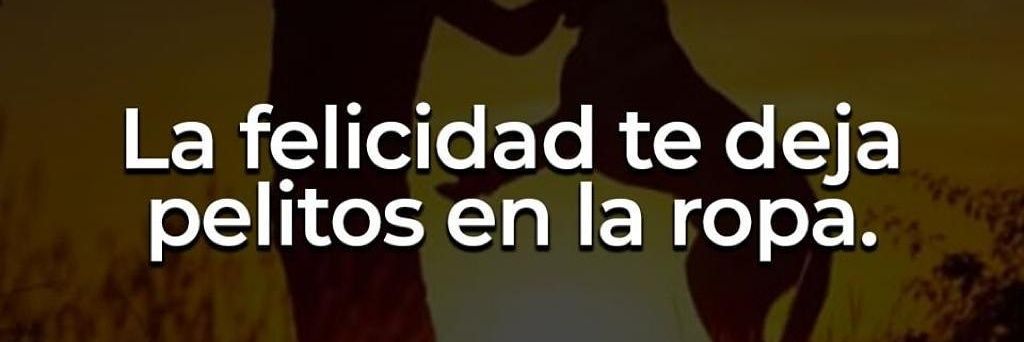 Despertar_Q_'s profile banner image