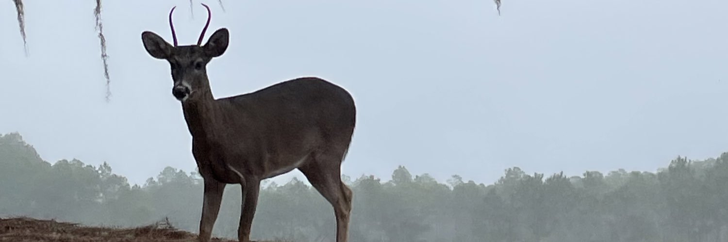 ron20242's profile banner image