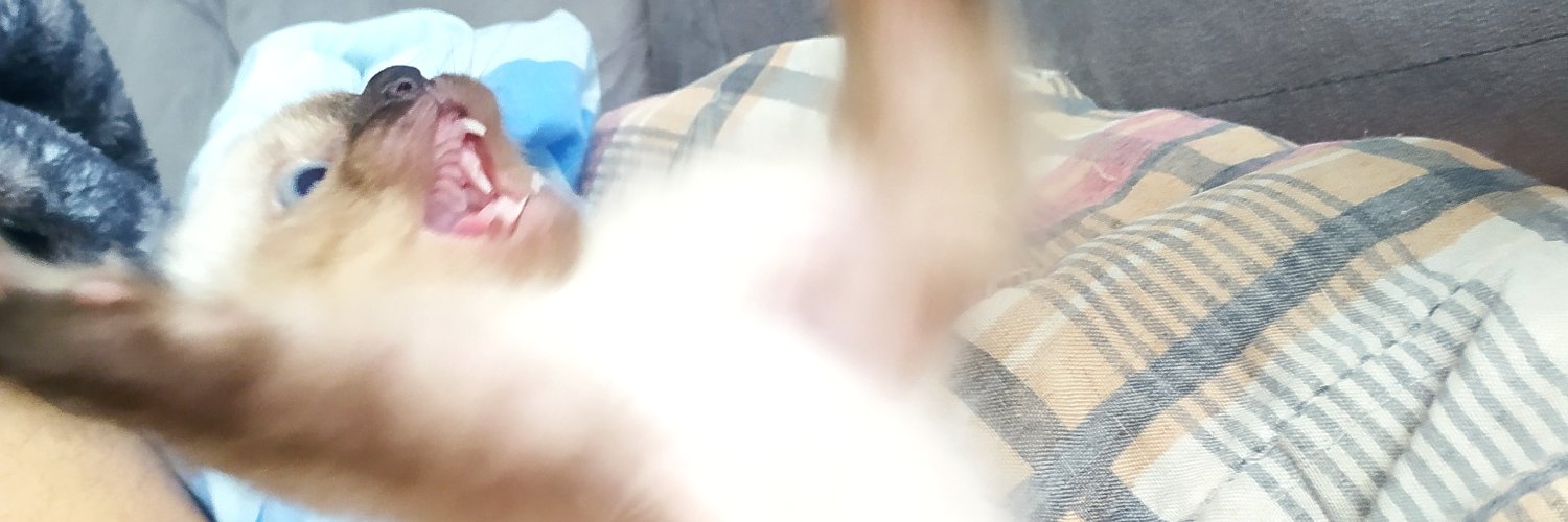 Weendryl's profile banner image