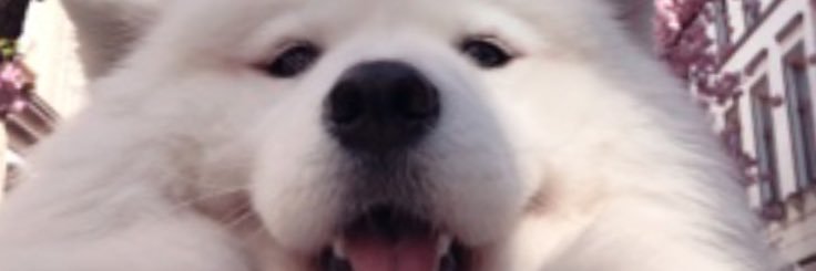 ridge020's profile banner image