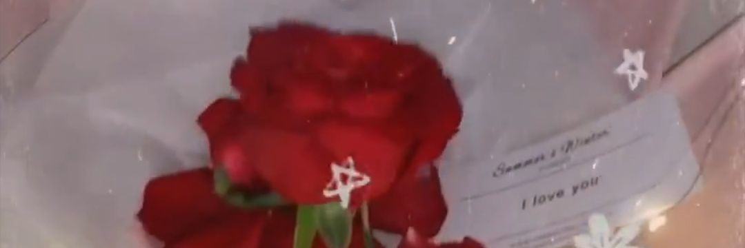 thornroses's profile banner image
