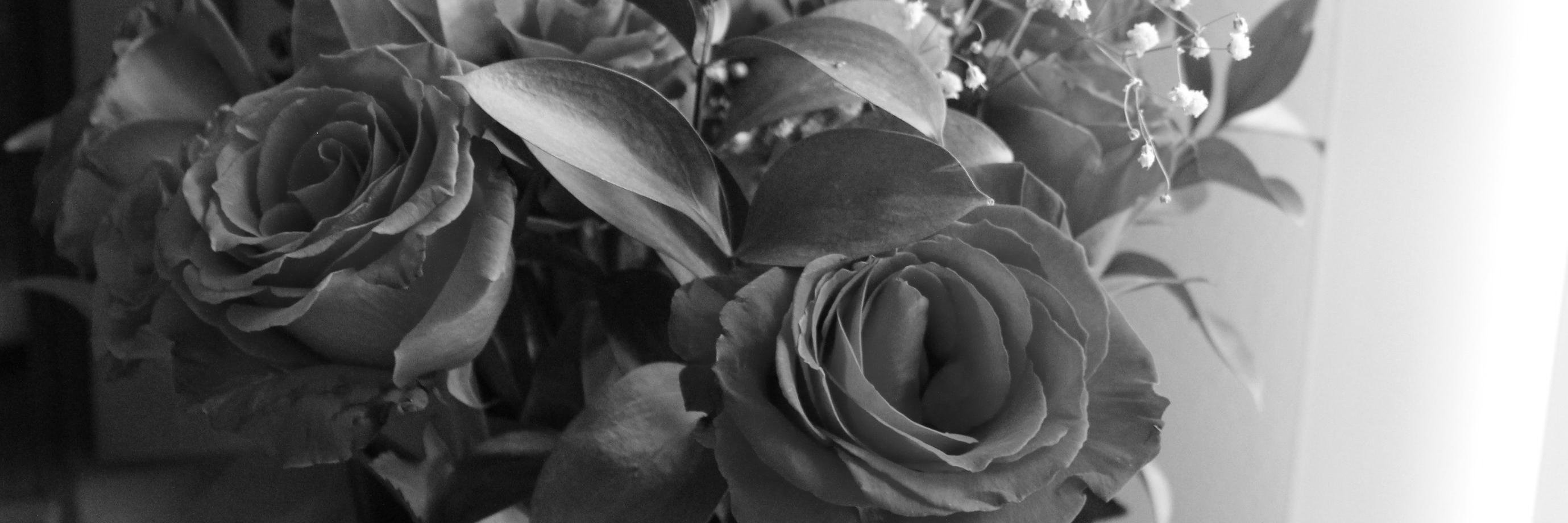 LauraMarie024's profile banner image