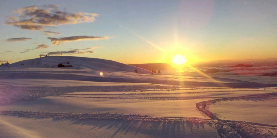 MONTAUD Andre pro banner