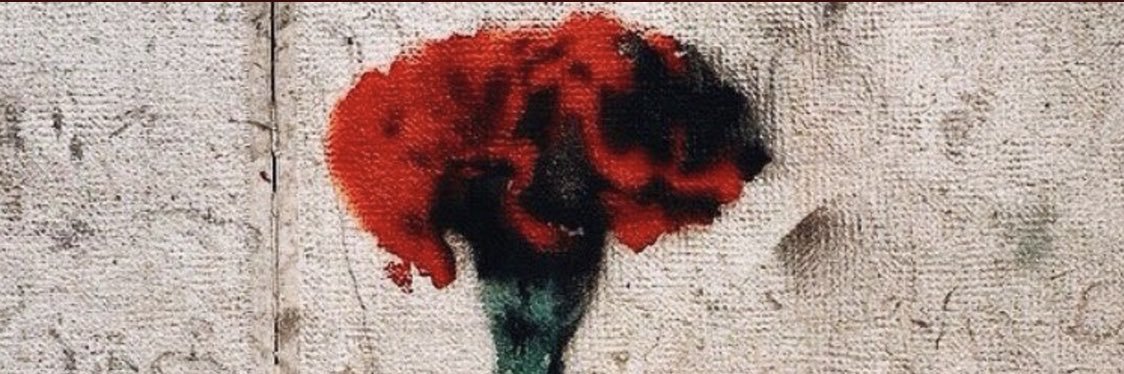 mteresapmarques's profile banner image