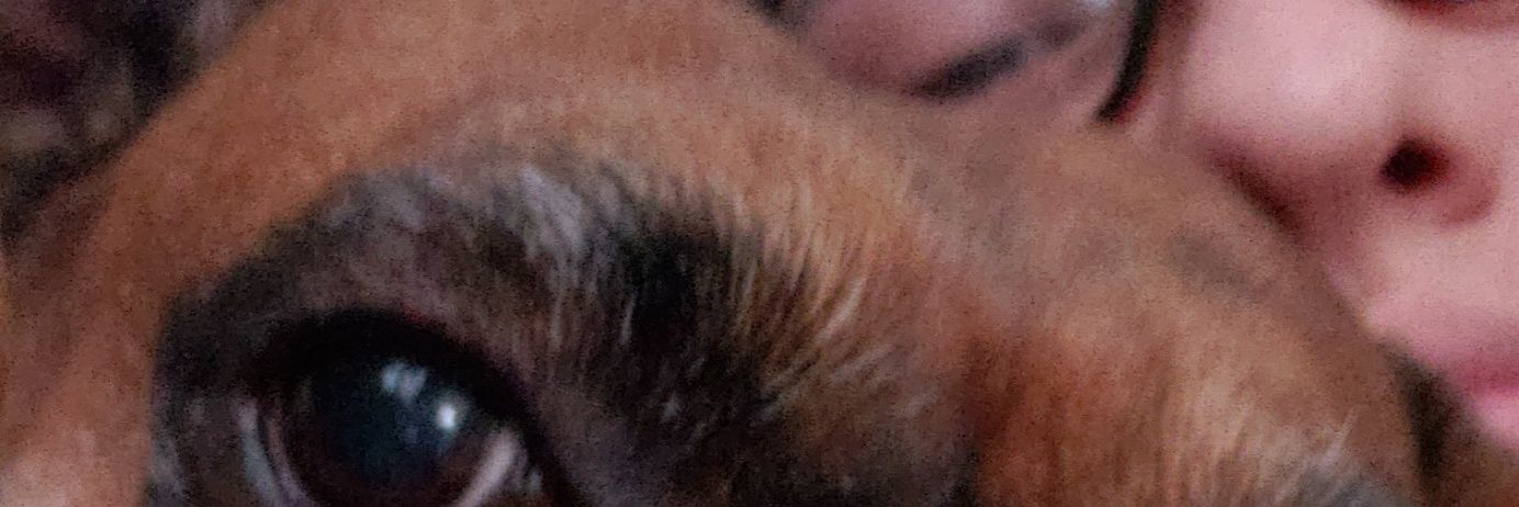 TonyTattern's profile banner image