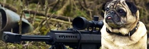 layna_mac's profile banner image