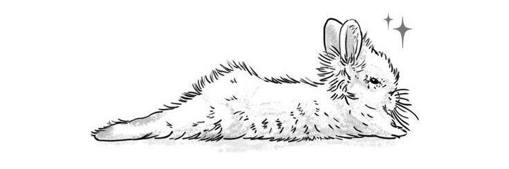 karligudis's profile banner image