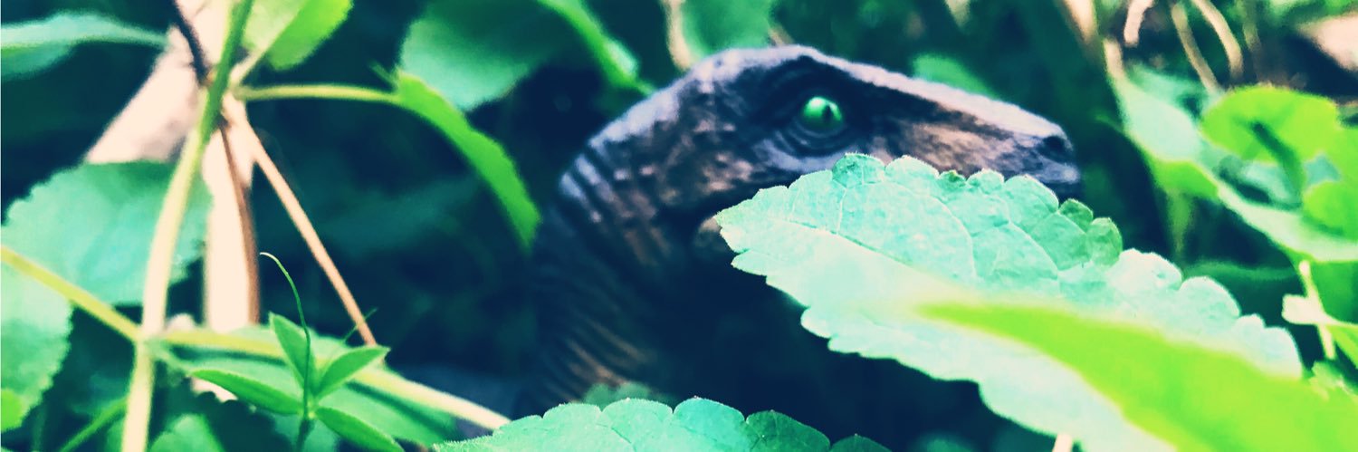 ElizabethChan_2's profile banner image