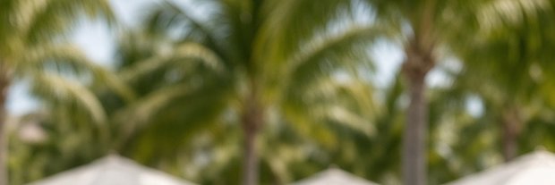 Lil_Hernandez28's profile banner image