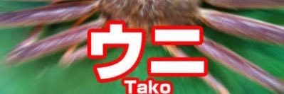 mi_O__O's profile banner image