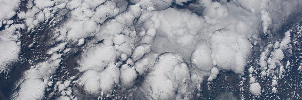 Maxine1701 Profile Banner