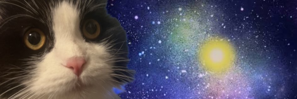 mint_pko0's profile banner image