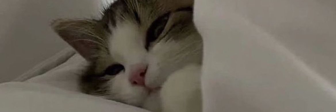 mmmell0w's profile banner image