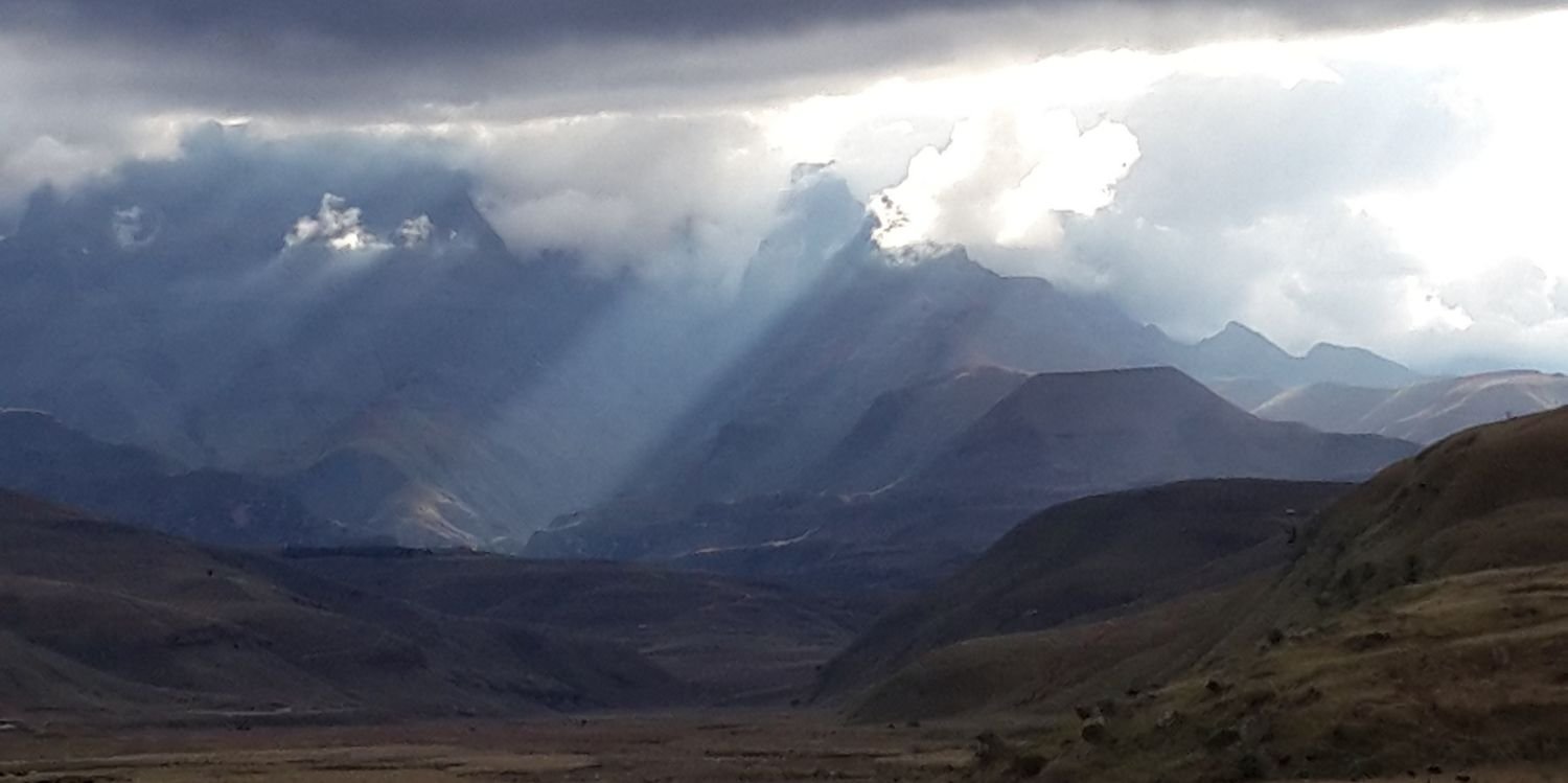 Andrew Erasmus banner