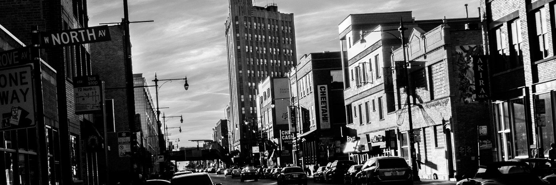 Wicker Park Chicago banner