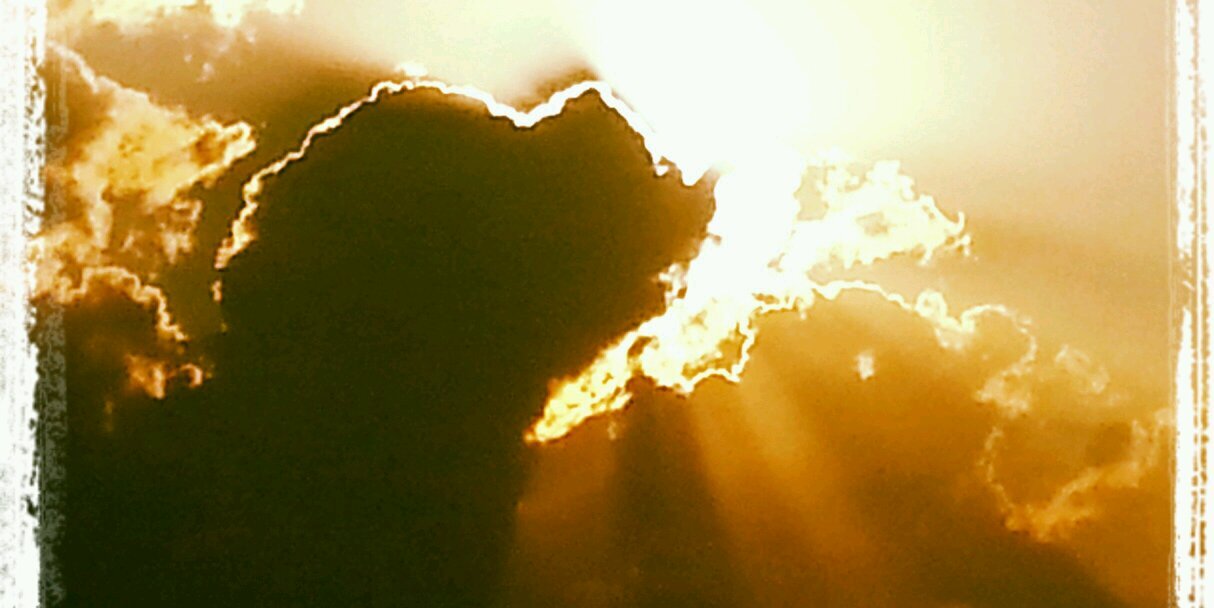 سالم الشامسي banner