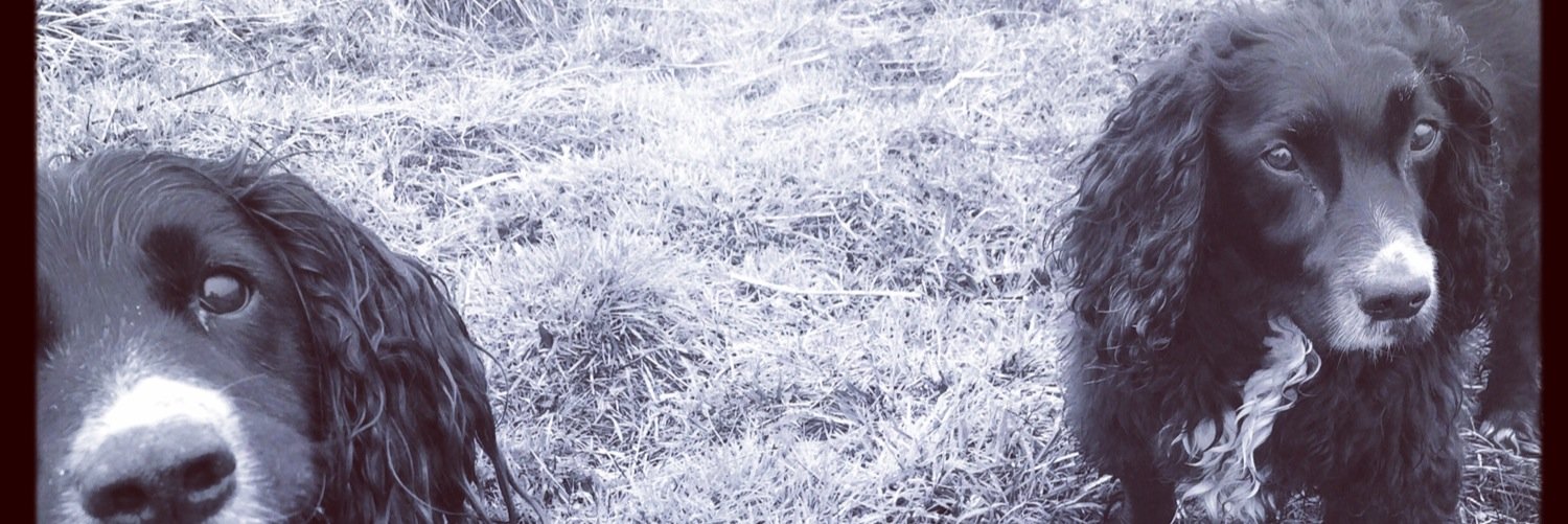 Reaps72's profile banner image