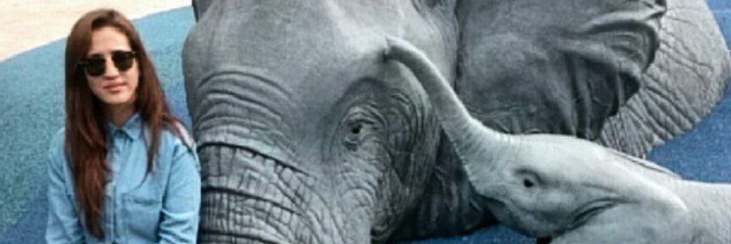 Spirit_Elephant's profile banner image