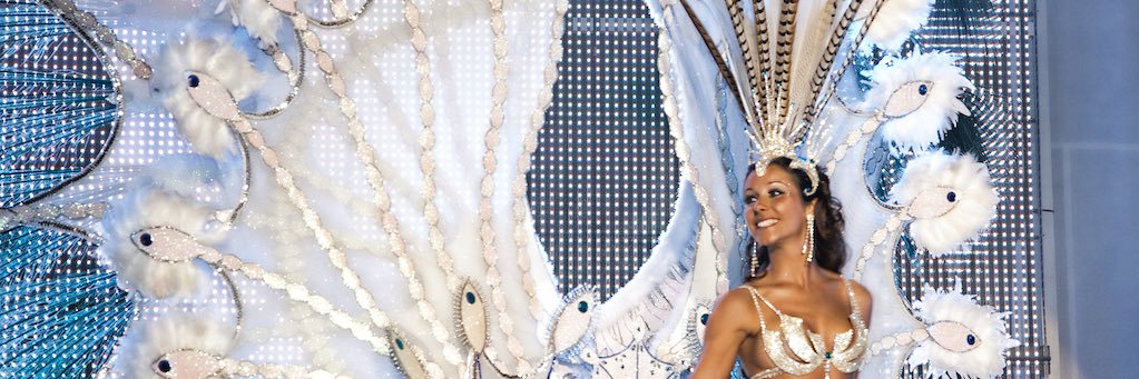 Carnaval de Vinaròs banner
