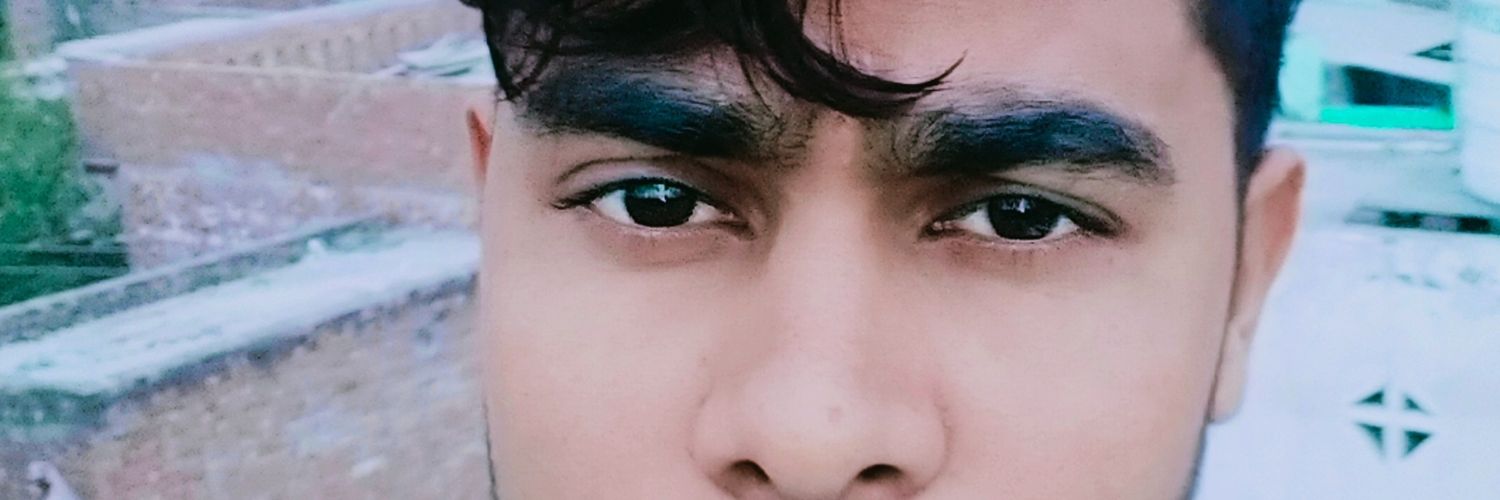 birdodhia's profile banner image