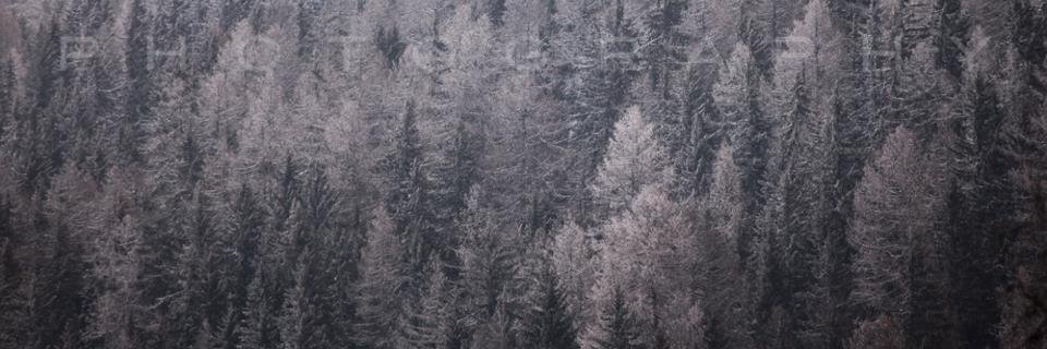 SteFoyUncovered's profile banner image